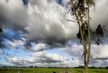 宜昌天涯社区：宜昌人心中的聚集地