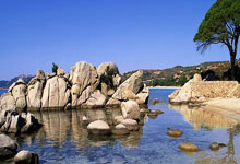 她笔下的天涯天地：方圆万里，也不止三百字。